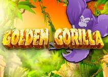 Rockbet Casino